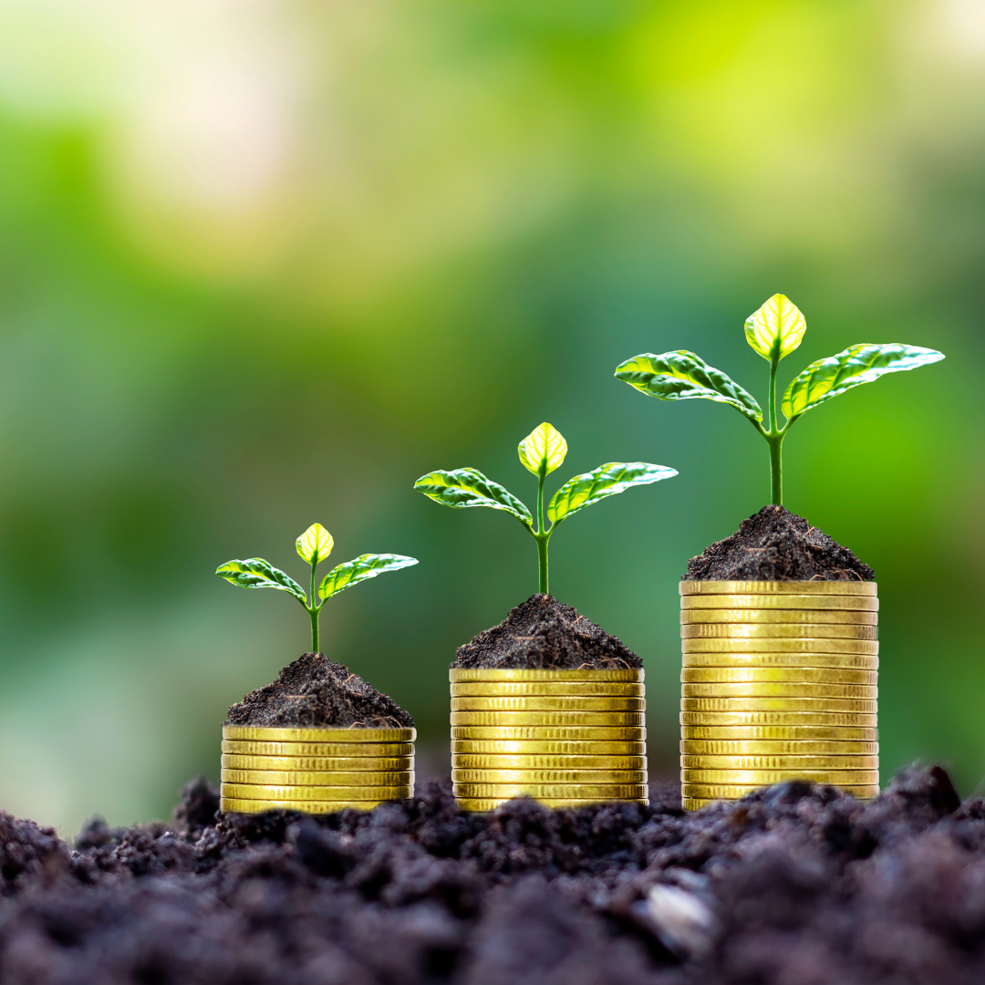 Building a Financially Healthy Workforce