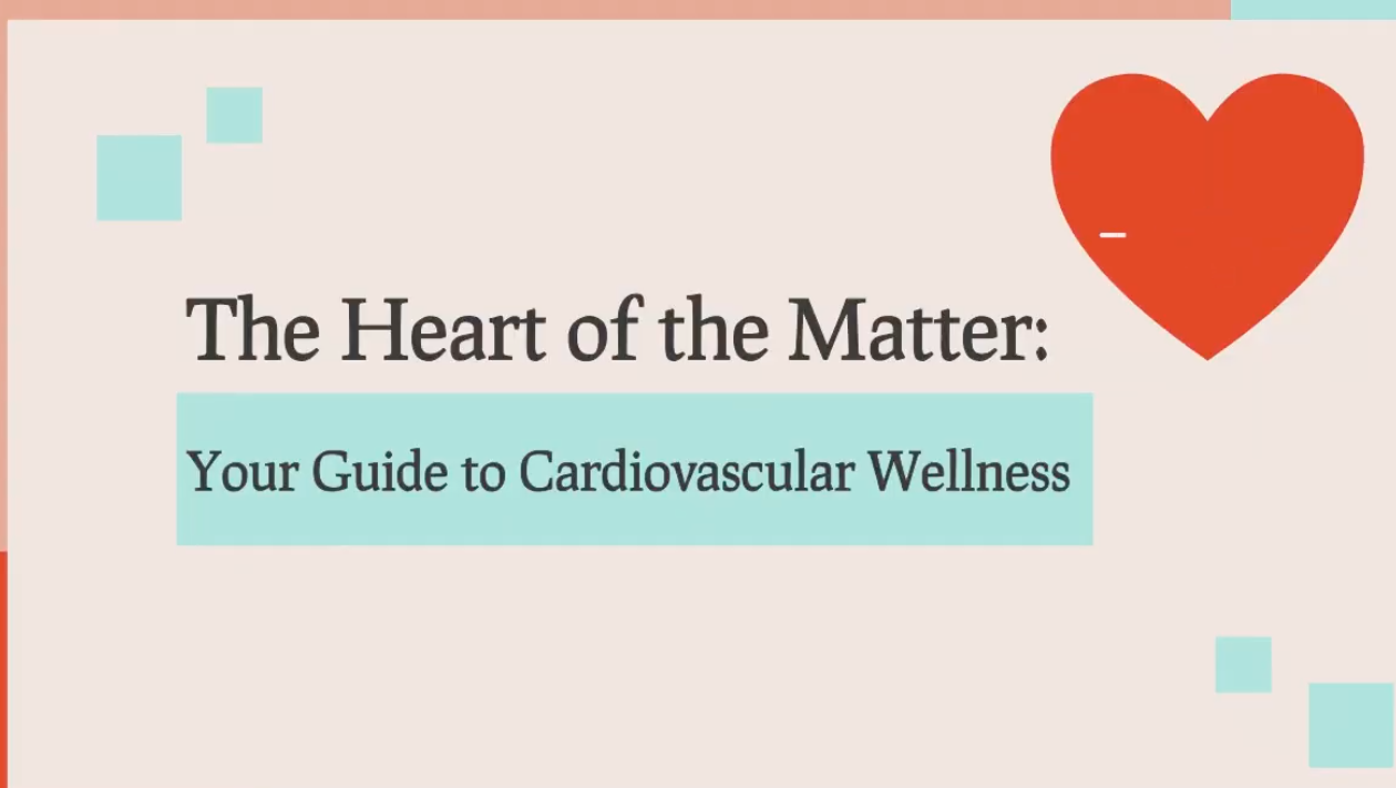 SAMPLE – Video From Google Drive