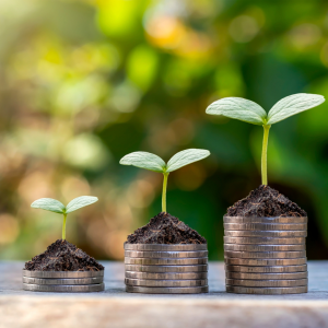 Video – Building a Financially Healthy Workforce